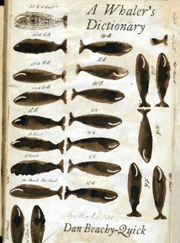 Couverture_A Whaler's Dictionary