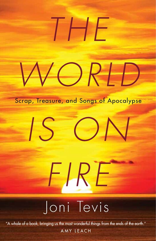 Front cover_The World Is On Fire