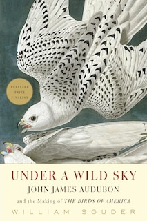 Front cover_Under a Wild Sky