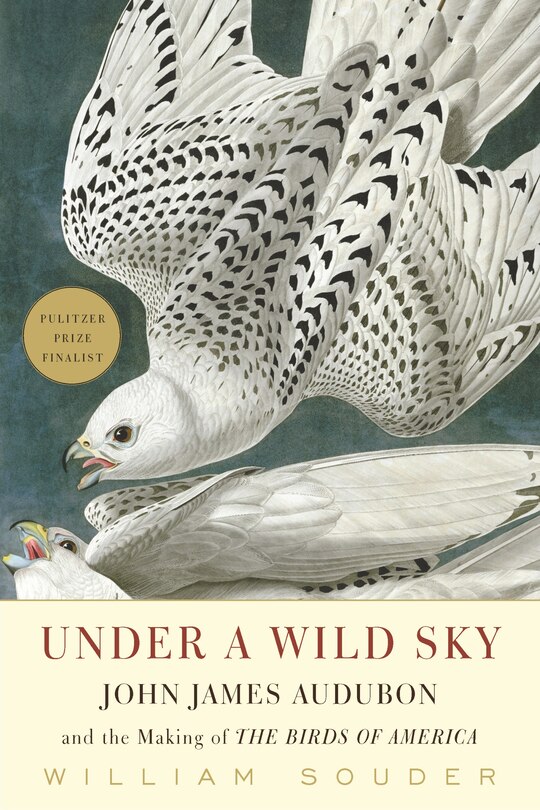 Front cover_Under a Wild Sky