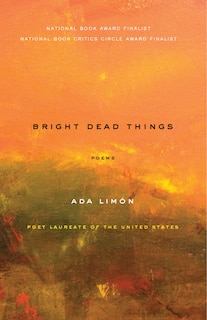 Front cover_Bright Dead Things