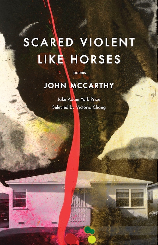 Front cover_Scared Violent Like Horses