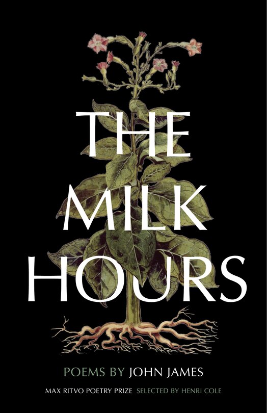 Couverture_The Milk Hours