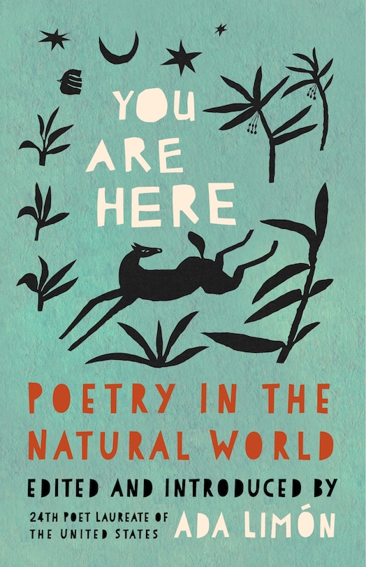Front cover_You Are Here