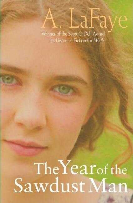Couverture_The Year of the Sawdust Man