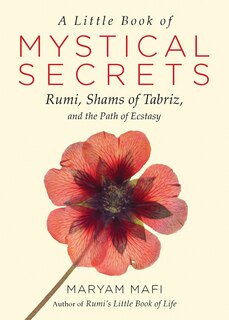 Front cover_A Little Book Of Mystical Secrets