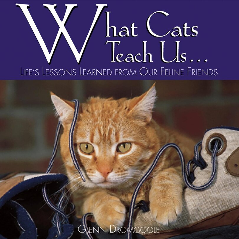 Front cover_What Cats Teach Us...