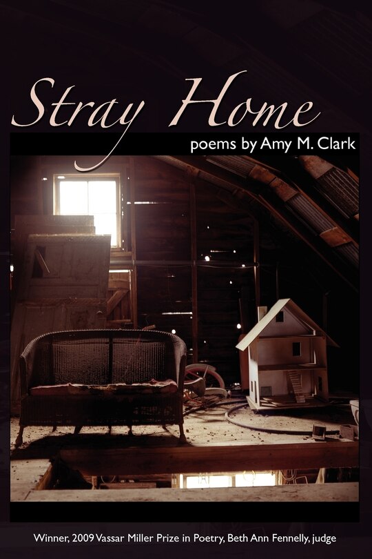 Front cover_Stray Home