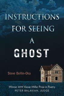 Front cover_Instructions for Seeing a Ghost