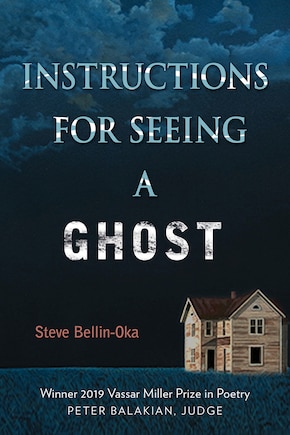 Instructions for Seeing a Ghost