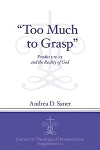 Couverture_“Too Much to Grasp”