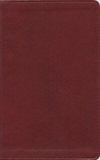 Front cover_The Message//remix New Testament