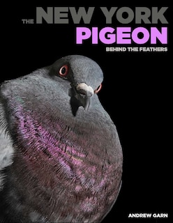 The New York Pigeon: Behind the Feathers