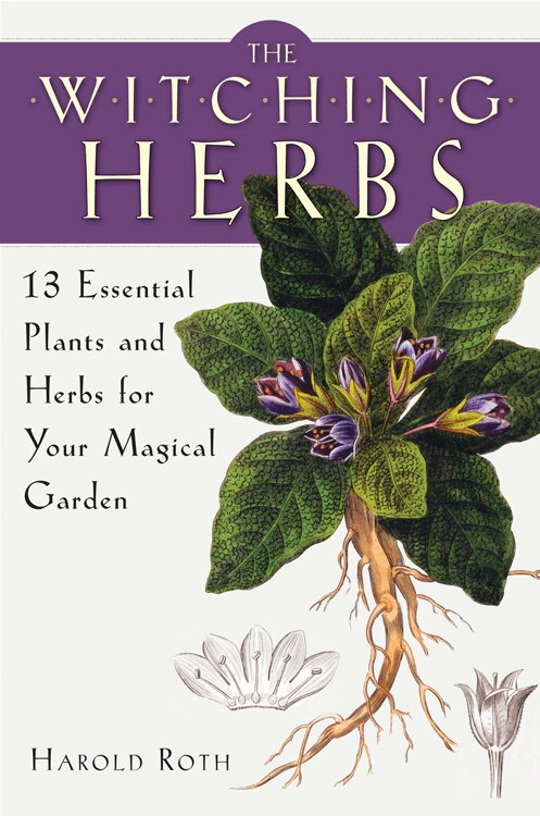 Front cover_The Witching Herbs