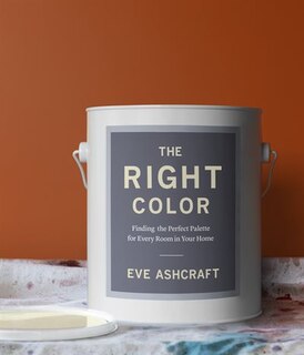 Couverture_The Right Color