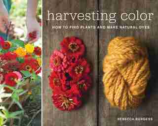 Harvesting Color: How to Find Plants and Make Natural Dyes by Rebecca Burgess