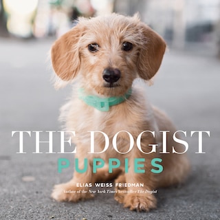 Front cover_The Dogist Puppies