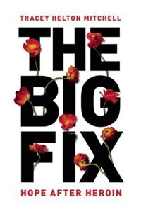 Front cover_The Big Fix