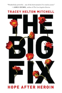 Front cover_The Big Fix