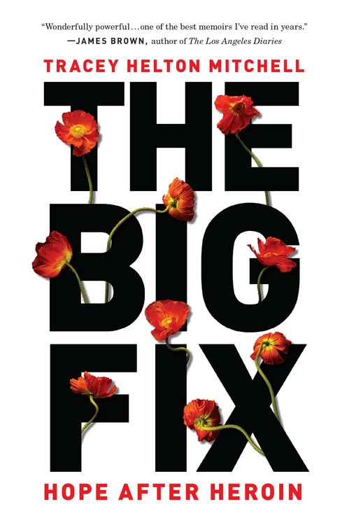 Front cover_The Big Fix