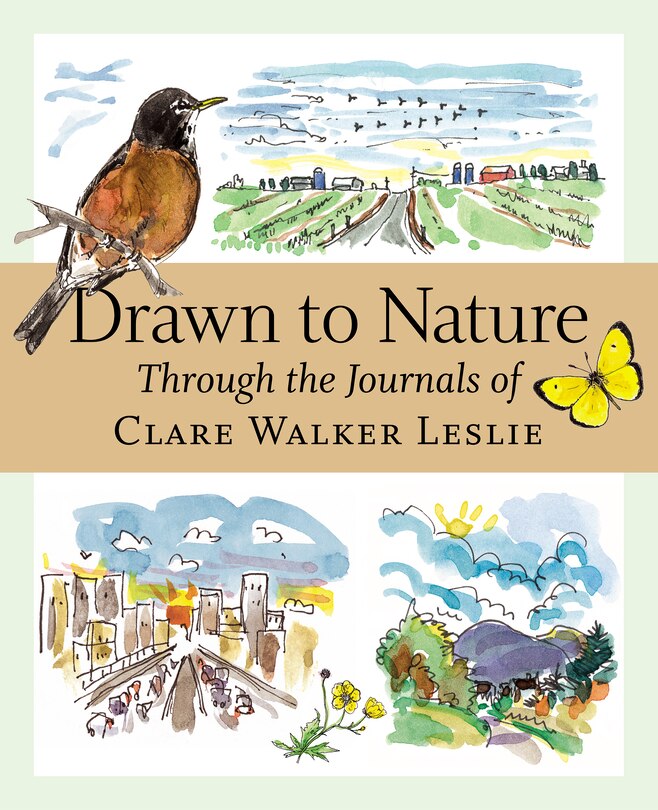 Front cover_Drawn to Nature