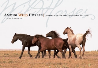 Front cover_Among Wild Horses
