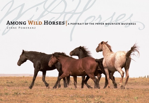 Front cover_Among Wild Horses