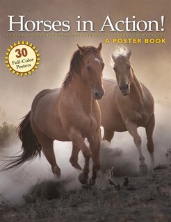 Horses In Action!: A Poster Book: A Poster Book