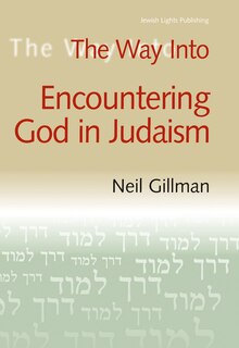 Front cover_The Way Into Encountering God In Judaism