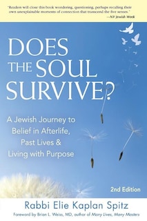 Does The Soul Survive? (2nd Edition): A Jewish Journey To Belief In Afterlife,  Past Lives & Living With Purpose