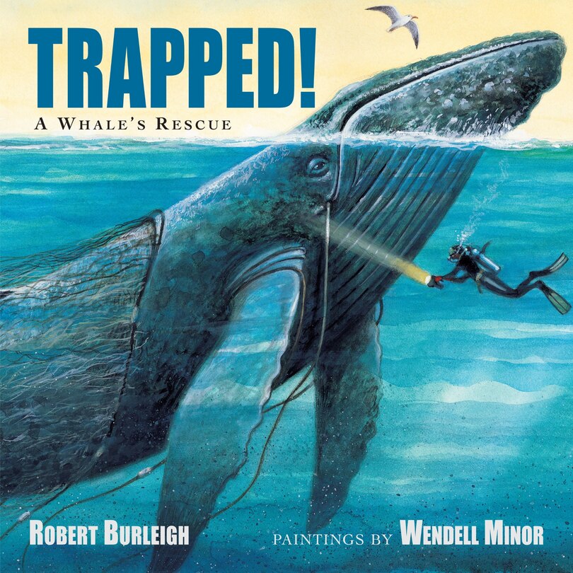 Front cover_Trapped! A Whale's Rescue