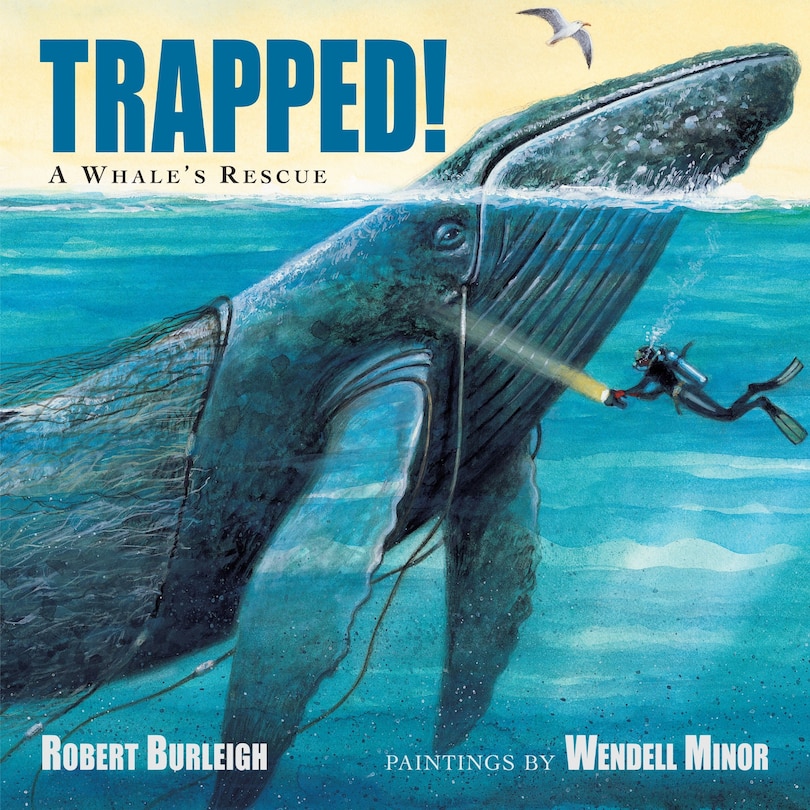 Front cover_Trapped! A Whale's Rescue