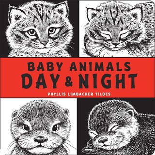 Front cover_Baby Animals Day & Night