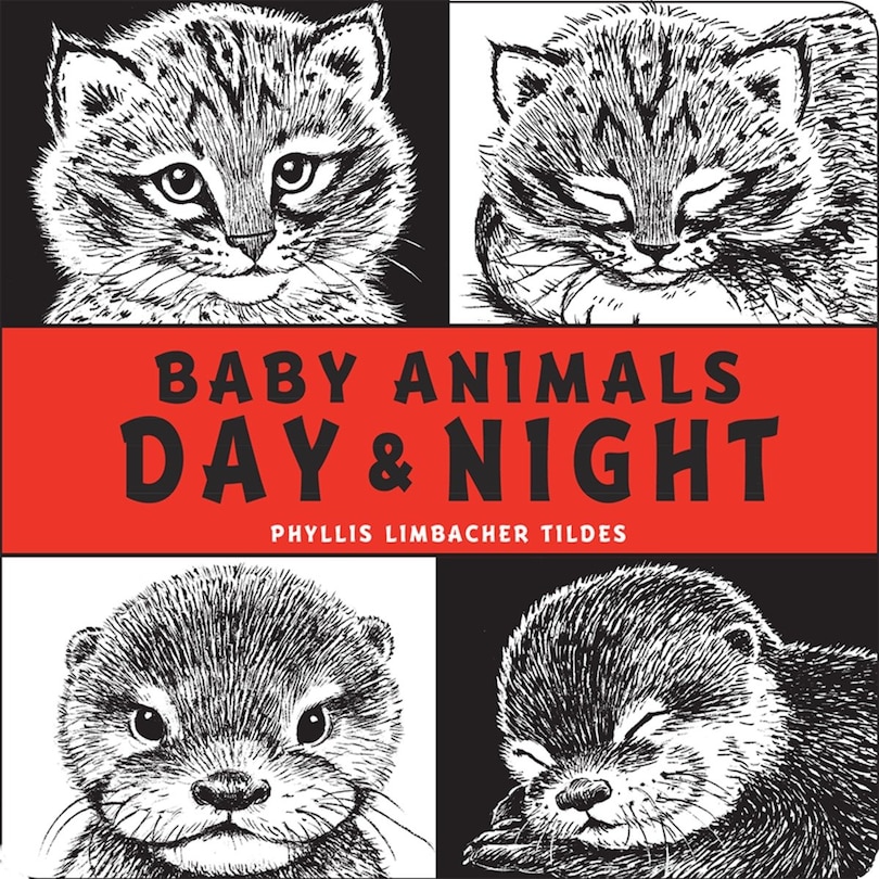 Front cover_Baby Animals Day & Night