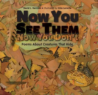 Front cover_Now You See Them, Now You Don't