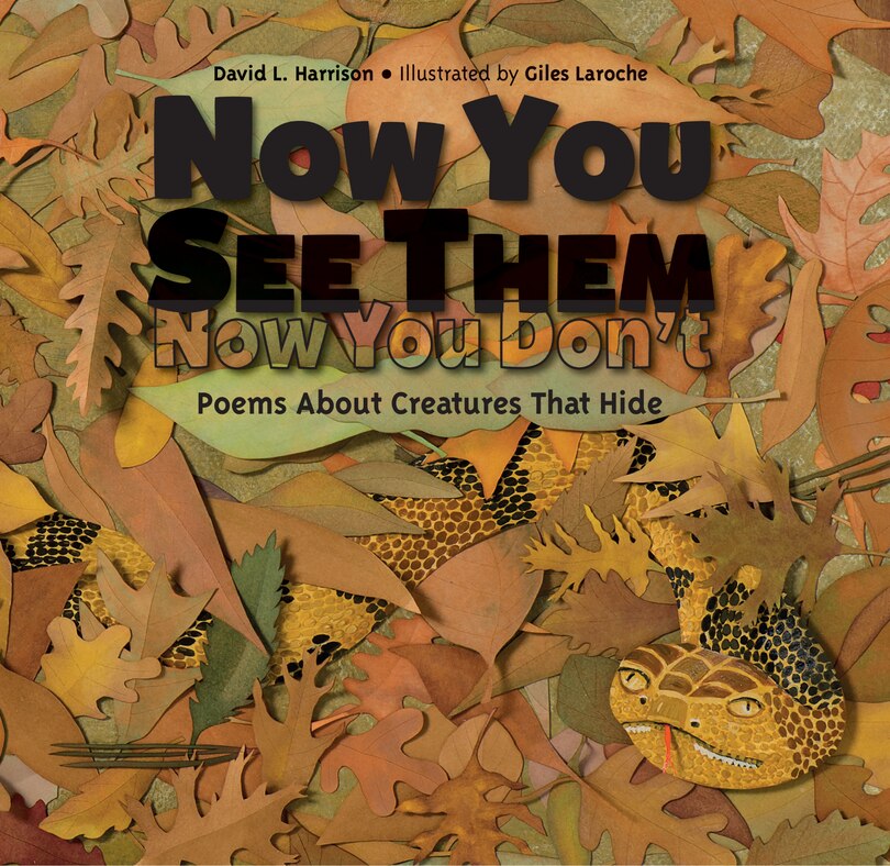 Front cover_Now You See Them, Now You Don't