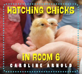 Front cover_Hatching Chicks In Room 6