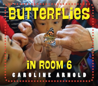 Front cover_Butterflies In Room 6
