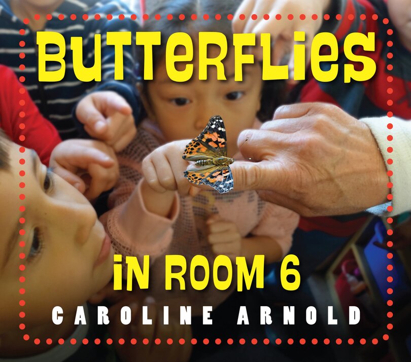 Front cover_Butterflies In Room 6