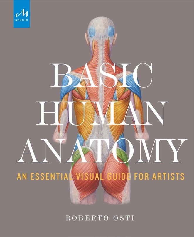 Basic Human Anatomy: An Essential Visual Guide For Artists