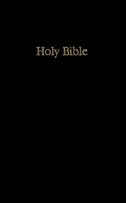 Front cover_Large Print Pew Bible-nasb