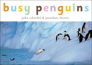 Front cover_Busy Penguins