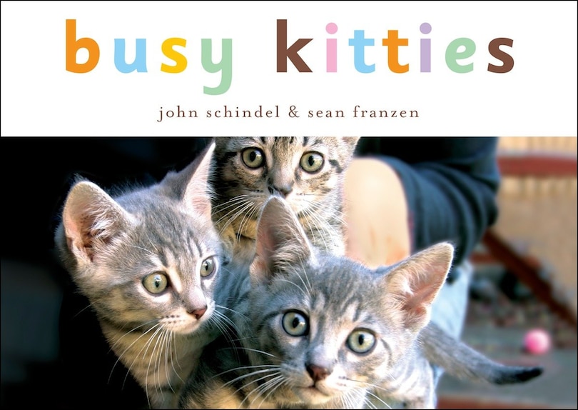 Couverture_Busy Kitties