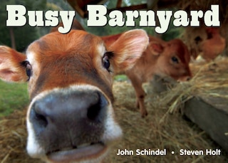 Front cover_Busy Barnyard
