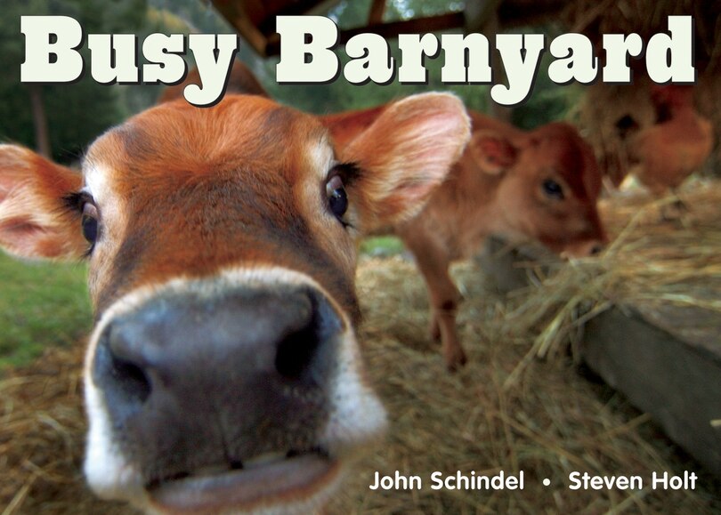 Front cover_Busy Barnyard
