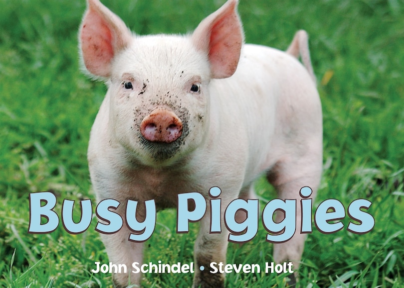 Front cover_Busy Piggies