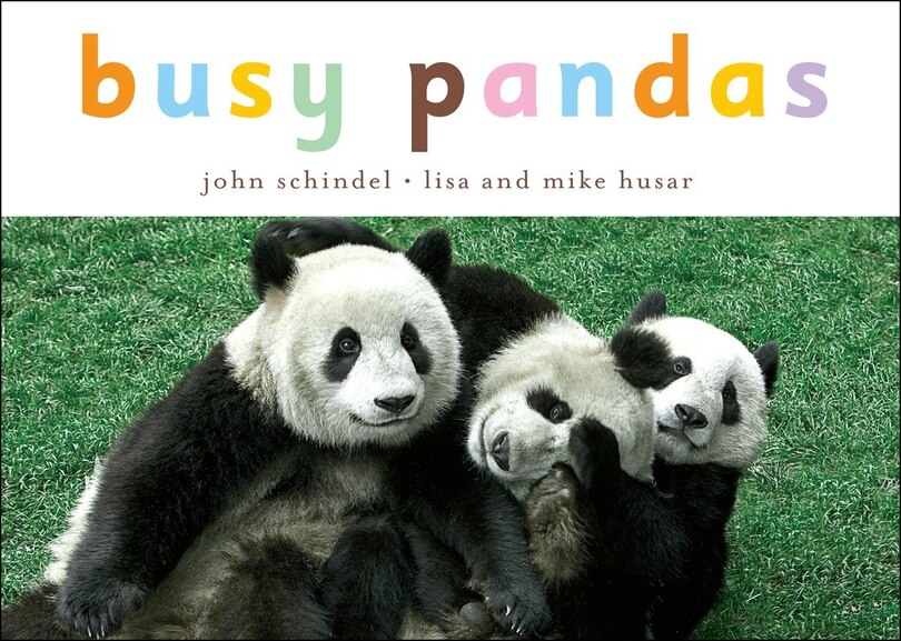 Couverture_Busy Pandas