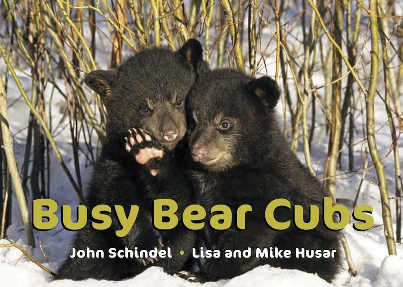 Front cover_Busy Bear Cubs