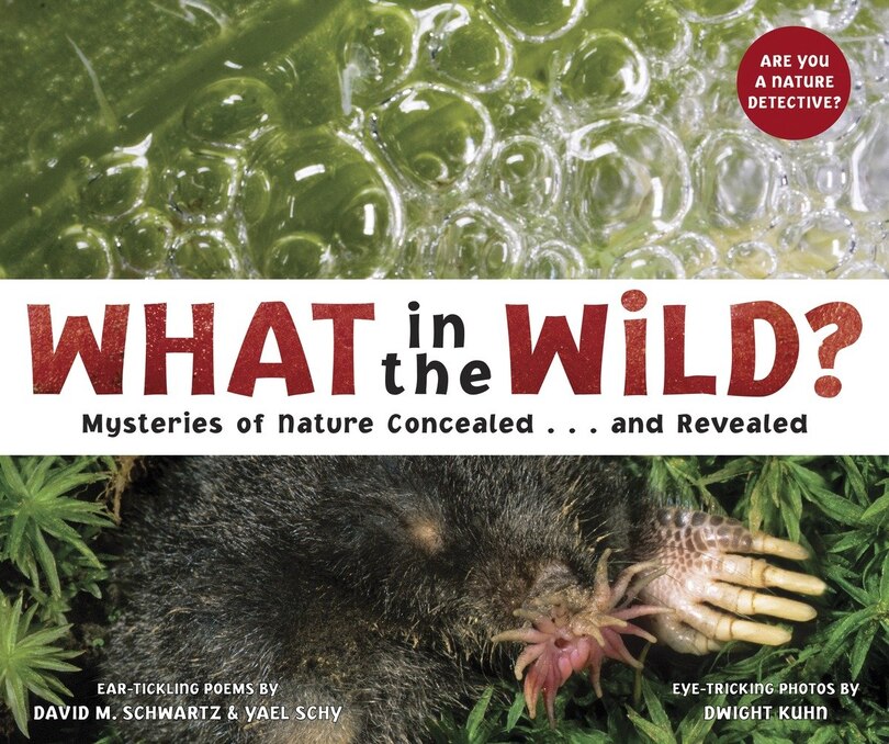Front cover_What In The Wild?