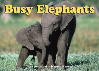 Front cover_Busy Elephants